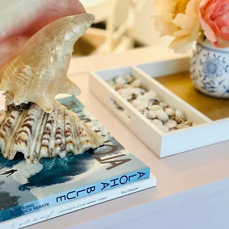 La O'vagues Daire Oostende